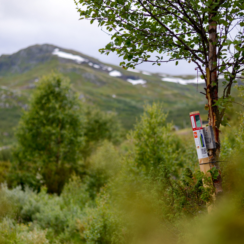 Stolpejakten - Tyin Filefjell