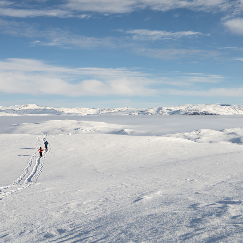 Summit hike to Børrenøse - Tyin Filefjell
