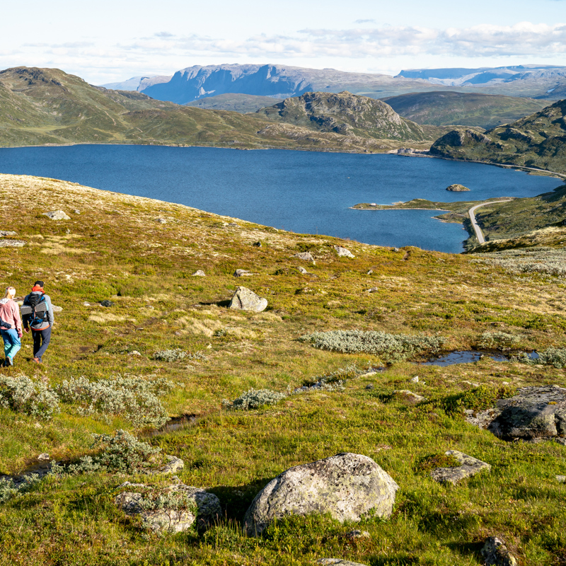 Travel to Tyin Filefjell – 3.5 hours from Oslo and Bergen via E16 | Bus ...