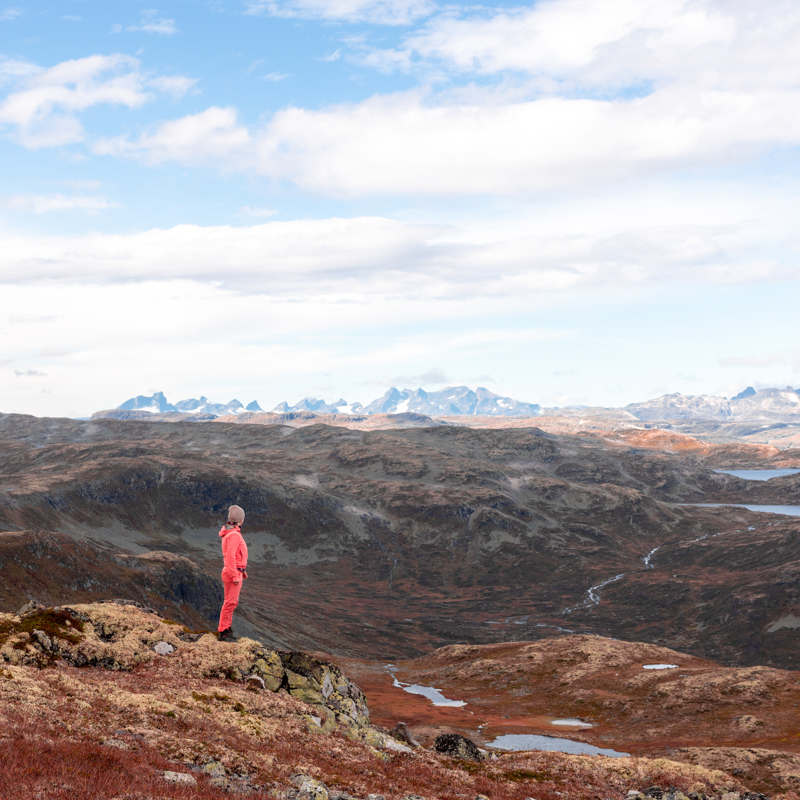 Mountain Hike to Skørsnøse - Tyin Filefjell