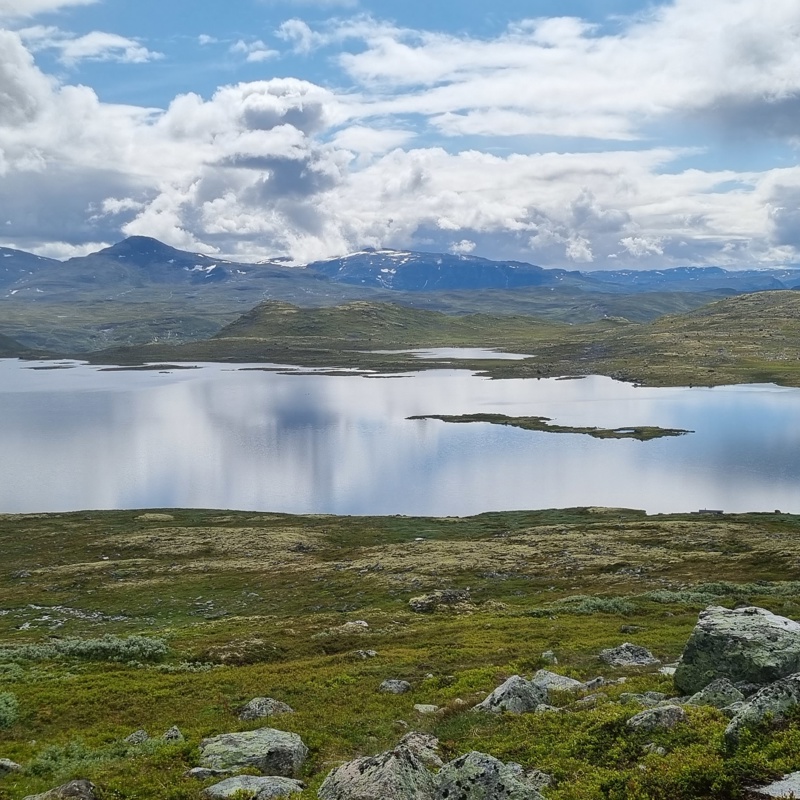 Hiking orienteering at Tyin Filefjell - Tyin Filefjell