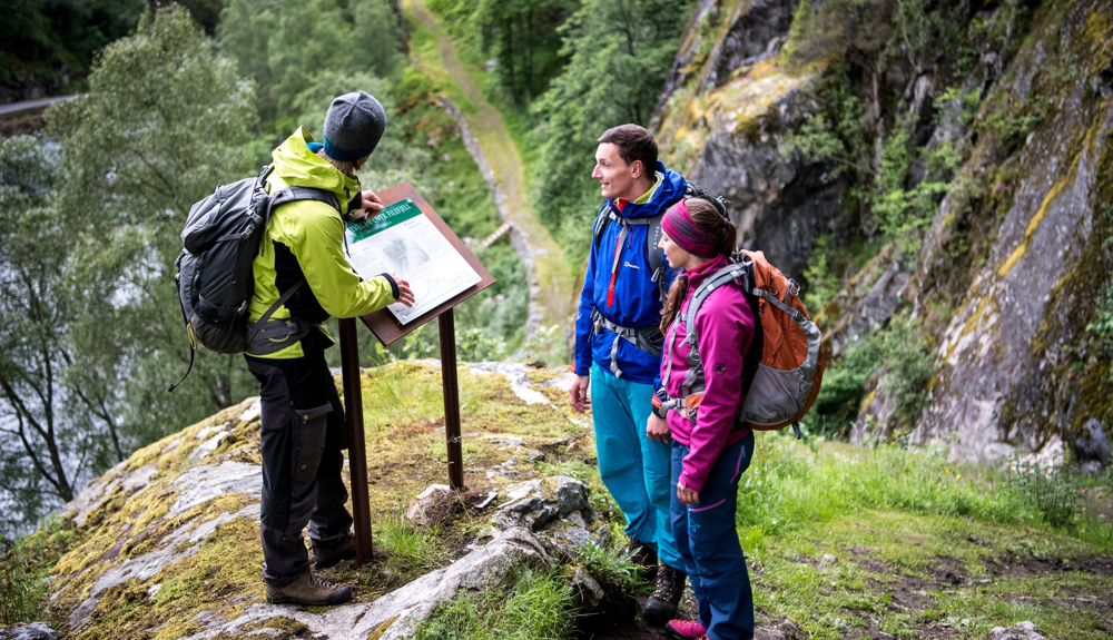 Guided Adventures Kings Road
