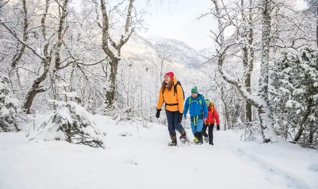Three people on a snowshoe hike on The King's Road