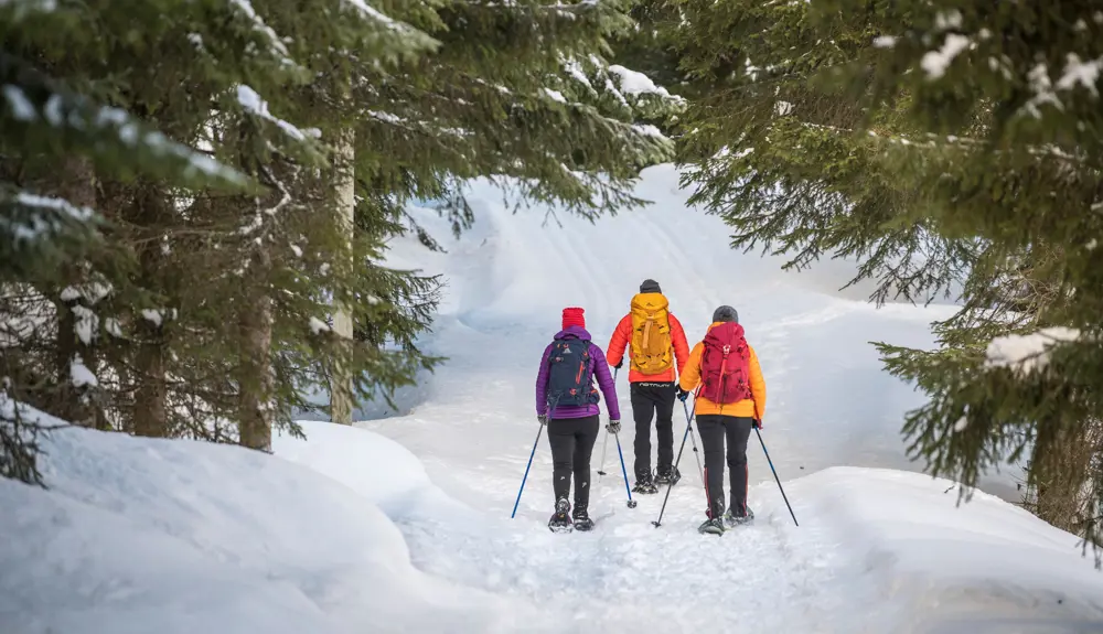 Three people on a snowshoe hike on Kongevegen