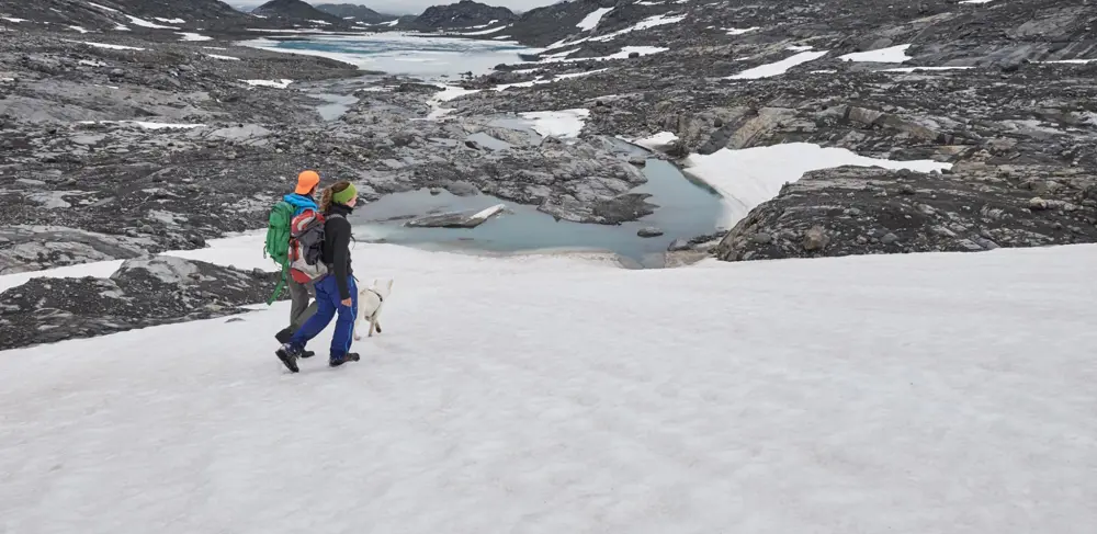 Hiker in Mjølkedalen, on the way to Mjølkedalsbreen