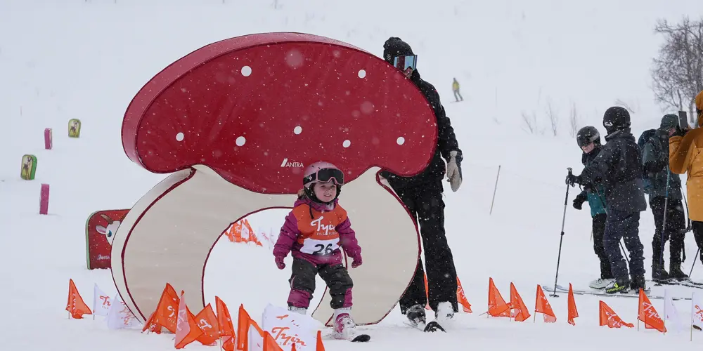 496843107 1235451158586053 9169033971148802607 N