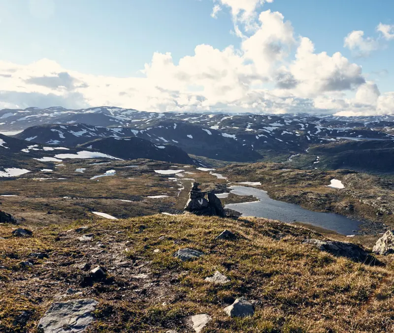 Tyin Filefjell Skørsnøse