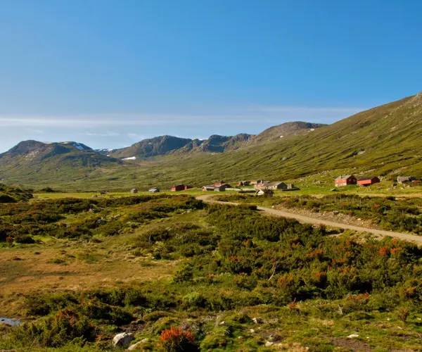 Sparstadstølen i Vang en fin sommerdag