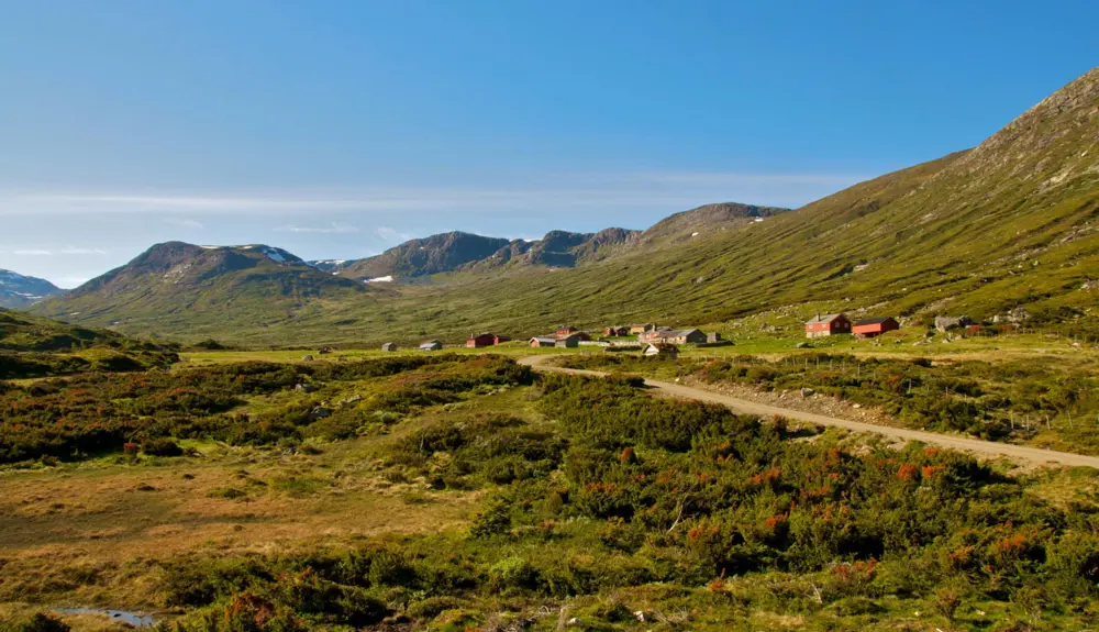 Sparstadstølen i Vang på en dejlig sommerdag