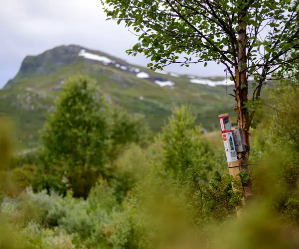 Stolpe i Stolpejakten plassert i vakre omgivelser på Tyin Filefjell