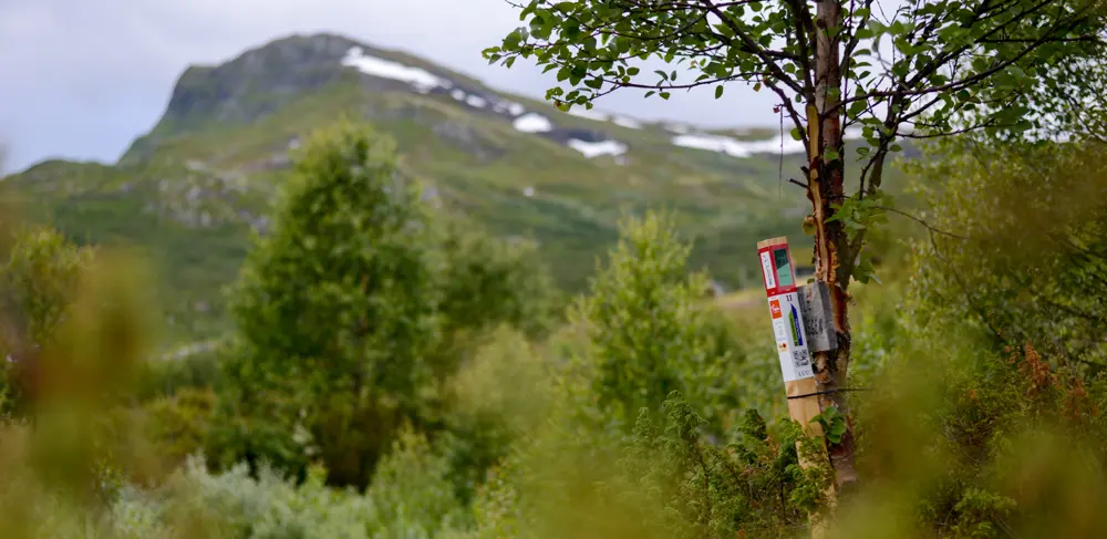 Stolpe i Stolpejakten plassert i vakre omgivelser på Tyin Filefjell