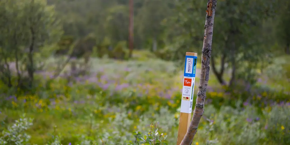 Stolpe i Stolpejakten plassert i vakre omgivelser på Tyin Filefjell