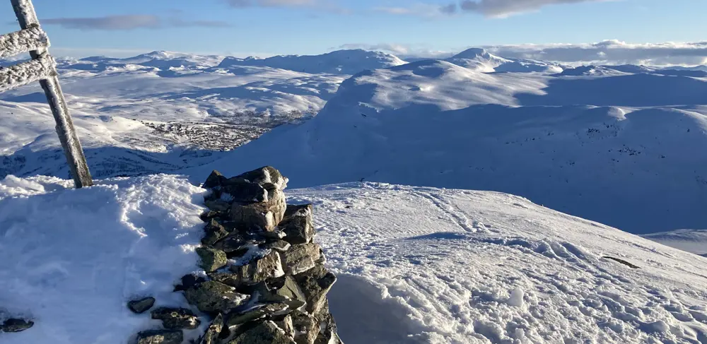 IMG 3074 Stølsnøse