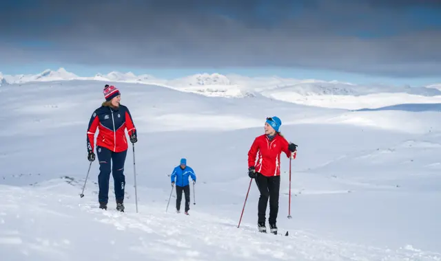 Cross-country skiers on high mountain trails at Tyin Filefjell