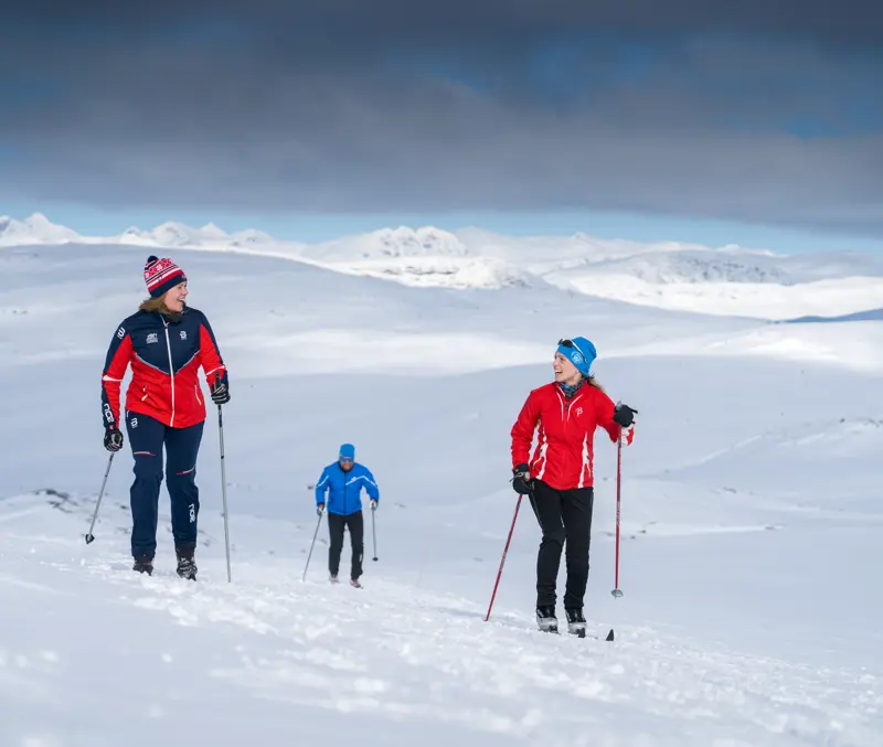 Cross-country skiers on high mountain trails at Tyin Filefjell