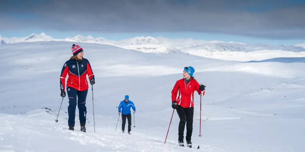 Langrennsløpere i høyfjellsløyper på Tyin Filefjell