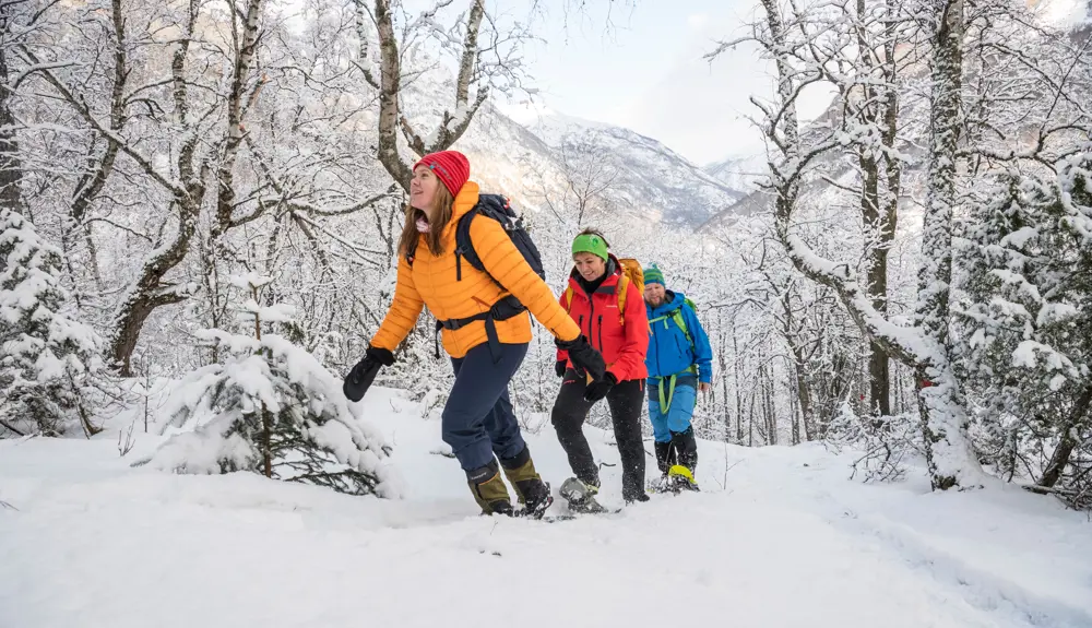Tre personer på sneskovandring på Kongevegen