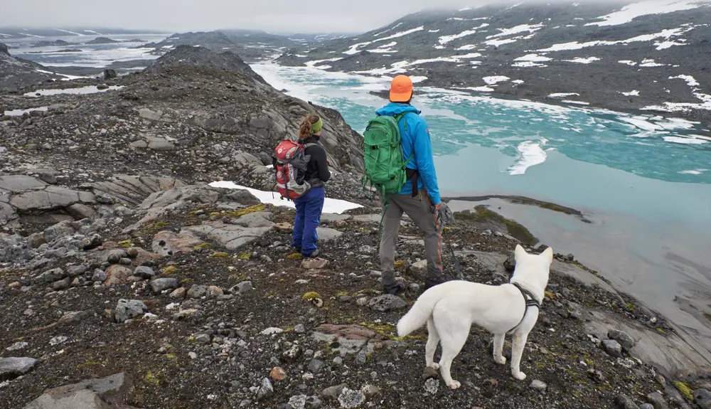 Hiker in Mjølkedalen, on the way to Mjølkedalsbreen