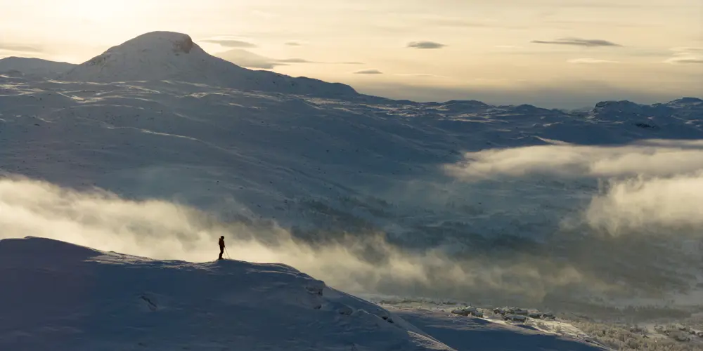 DJI 20260208151744 0215 D