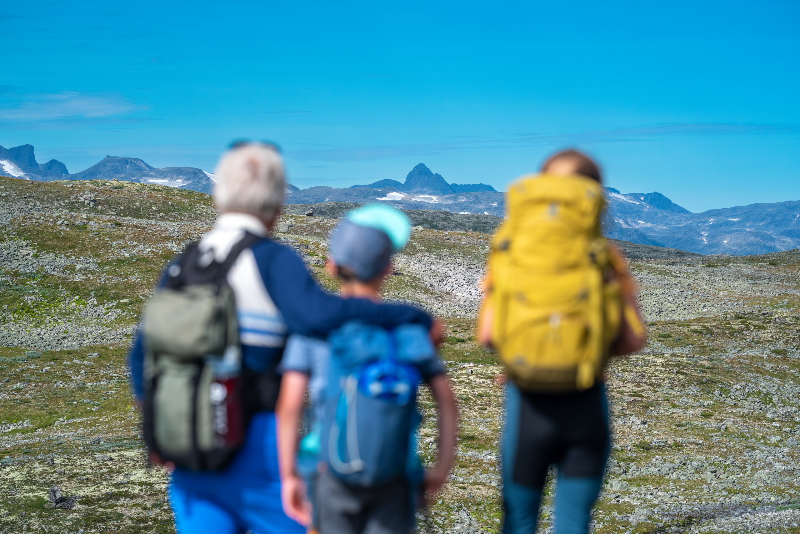 Family trip on Filefjellseggen between Skørsnøse and Støgonøse, with views of the peaks of Jotunheimen