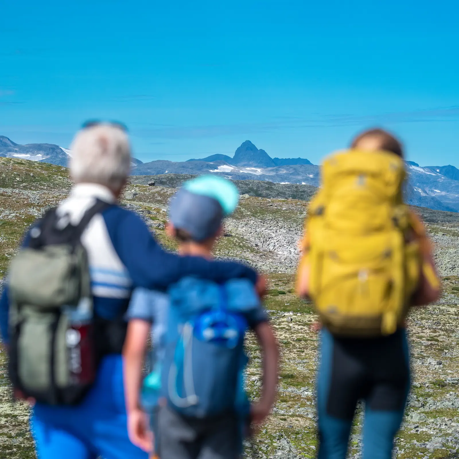 Family hike on Filefjellseggen between Skørsnøse and Støgonøse, with views of Jotunheimen's peaks