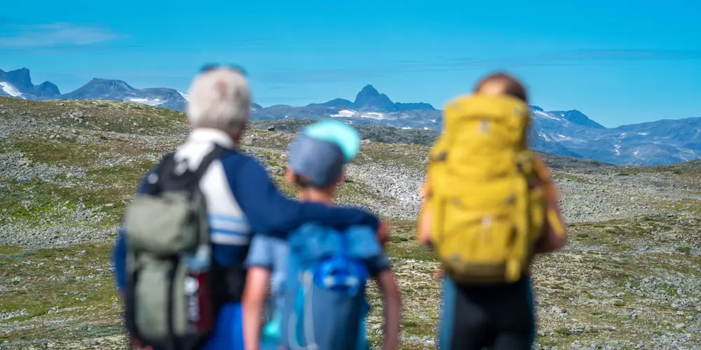 Familietur på Filefjellseggen mellom Skørsnøse og Støgonøse, med utsikt mot Jotunheimens tinder