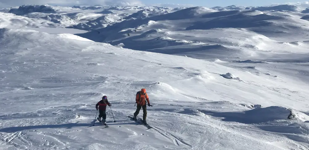 IMG 0009 Tyinstølnøse