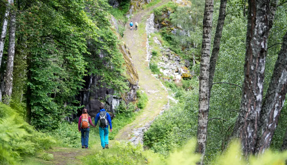 Hikers on Kongevegen 