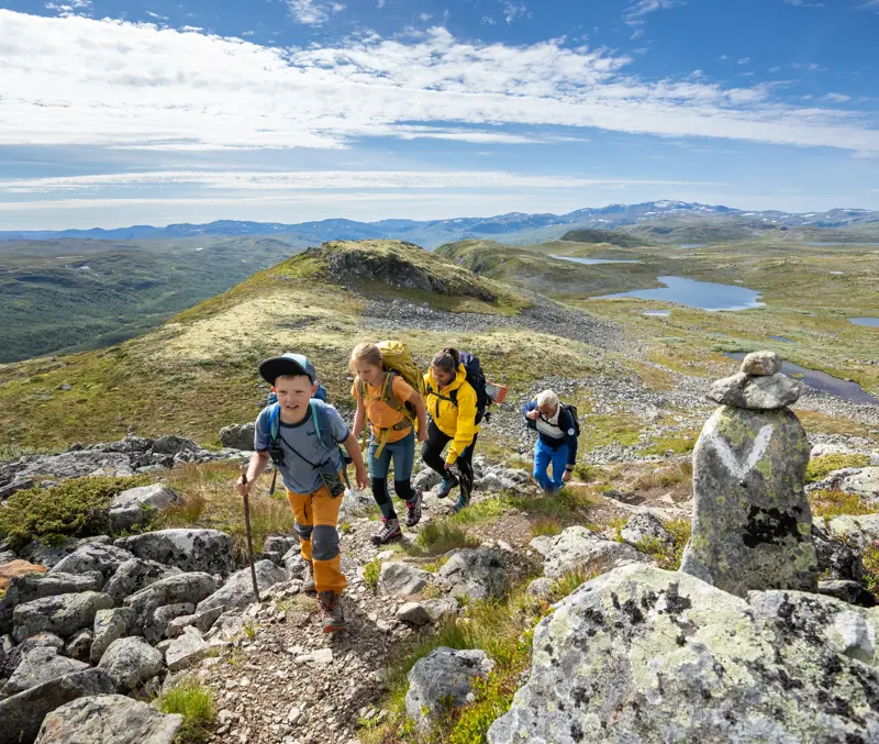 Familietur på Filefjellseggen mellem kl Skørsnøse og Stygonous