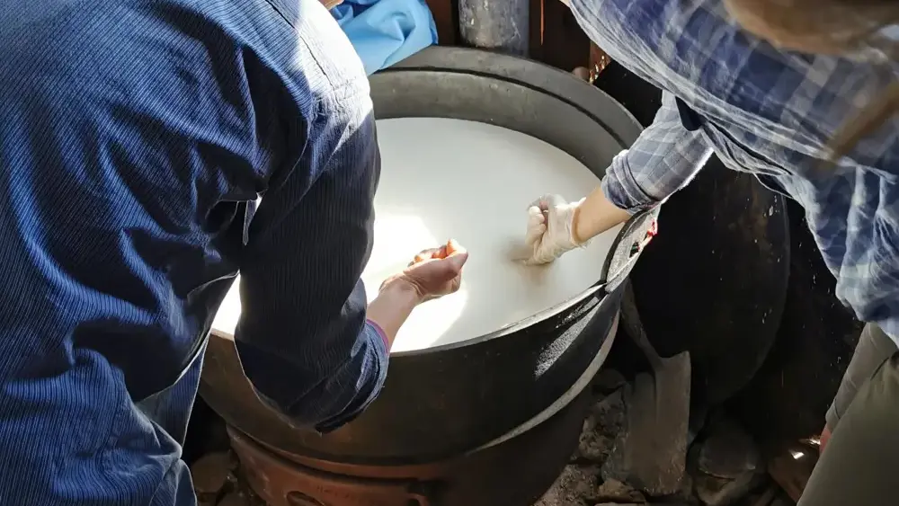 At Olestølen, the cheesemaker Kathrin Aslaksby makes cheese. 