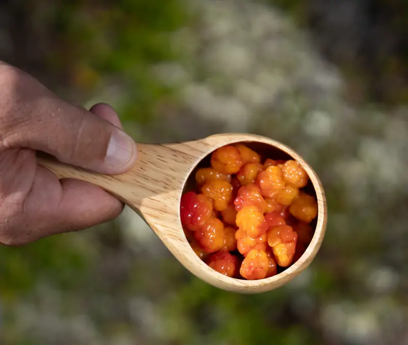 Mulberries in a wooden cup
