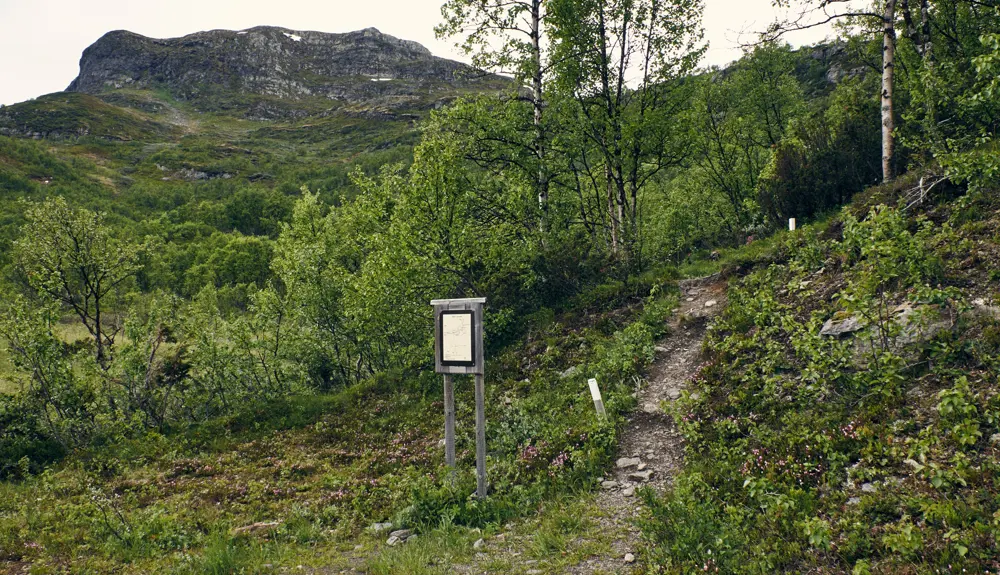 Tur til Skørsnøse af Tyin Filefjell