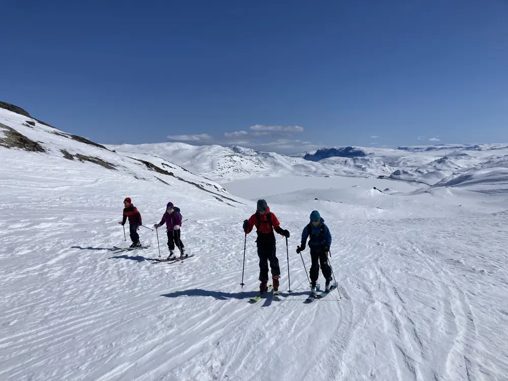 IMG 3548 Tyinstølnøse