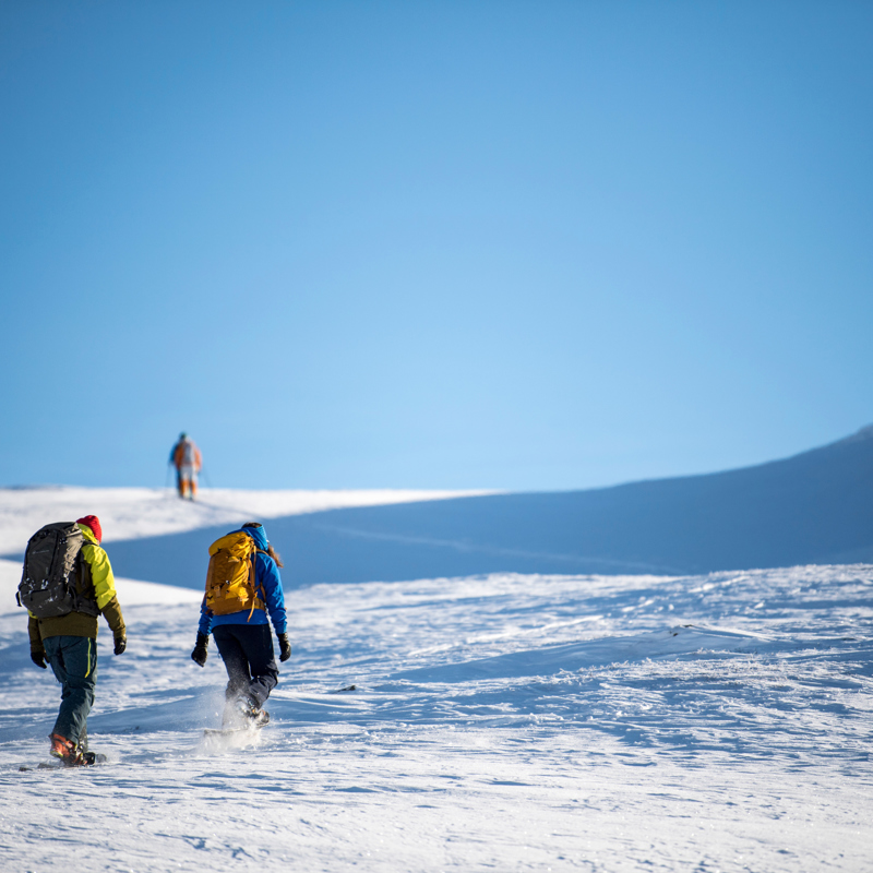 Marked snowshoe trail - RED - Steinhaug - Tyin Filefjell