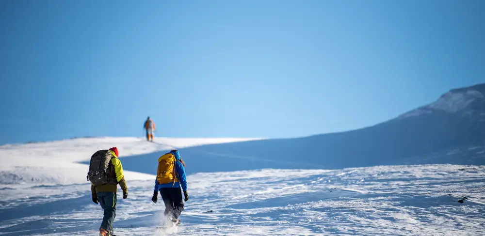 Tre personer på vei opp et fjell på truger