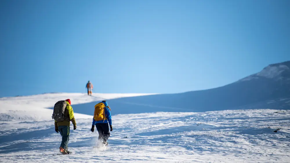 Tre personer på vei opp et fjell på truger