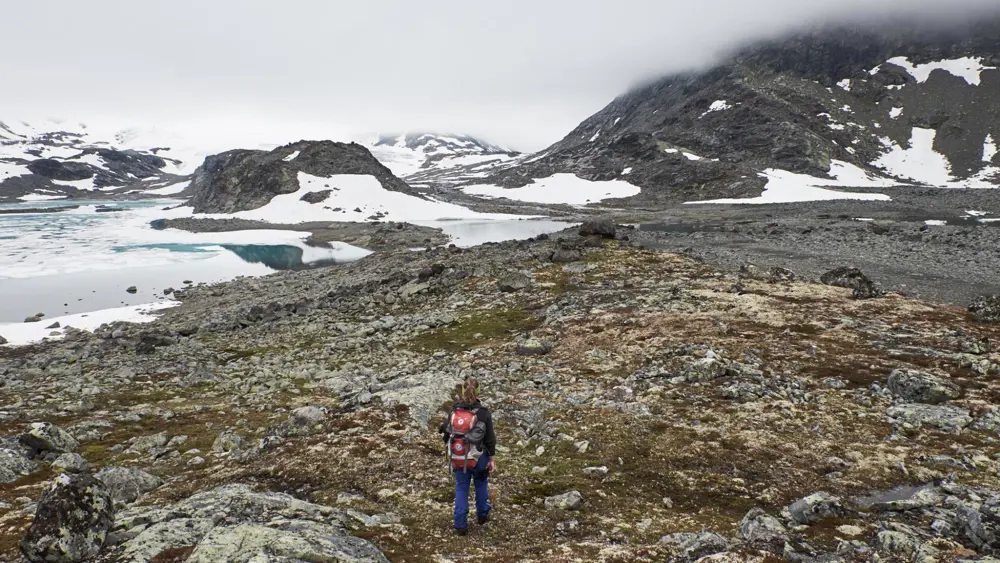 Hiker in Mjølkedalen, on the way to Mjølkedalsbreen