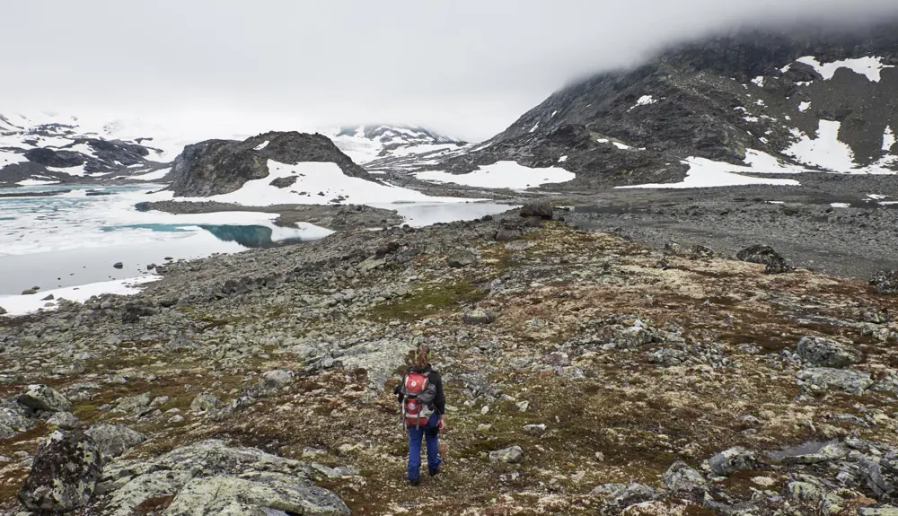 Hiker in Mjølkedalen, on the way to Mjølkedalsbreen
