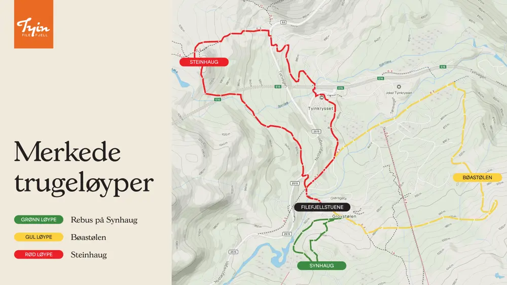 250319 Sneskokort 04 (1)