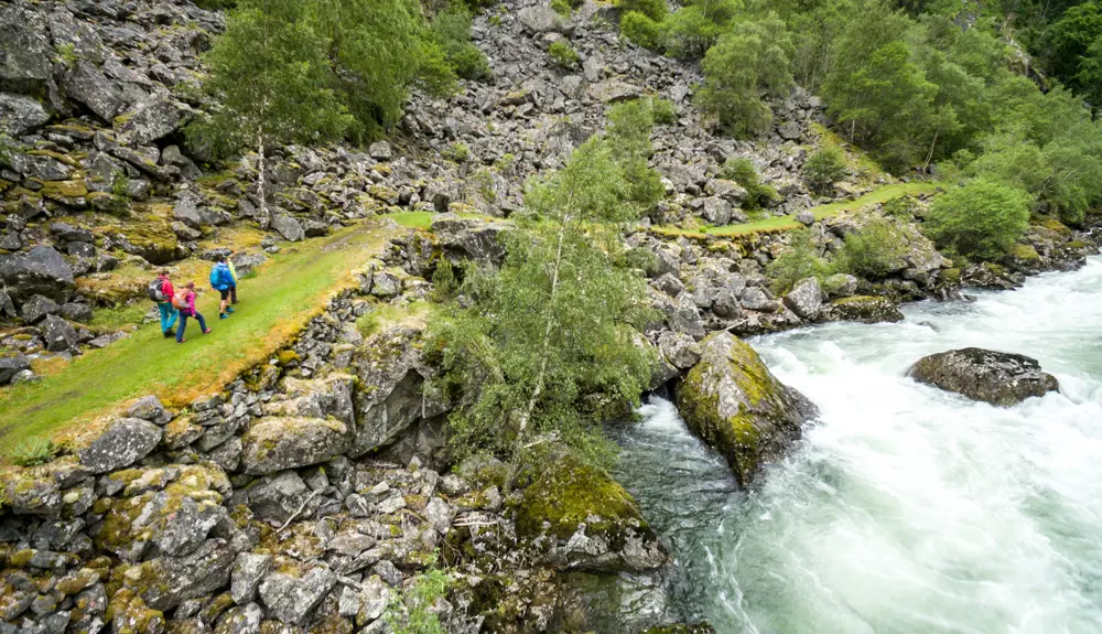 Hikers on Kongevegen 