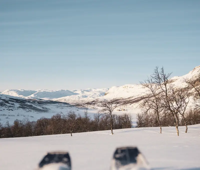 Vandring i bjergrigt terræn ved Tyin Filefjell