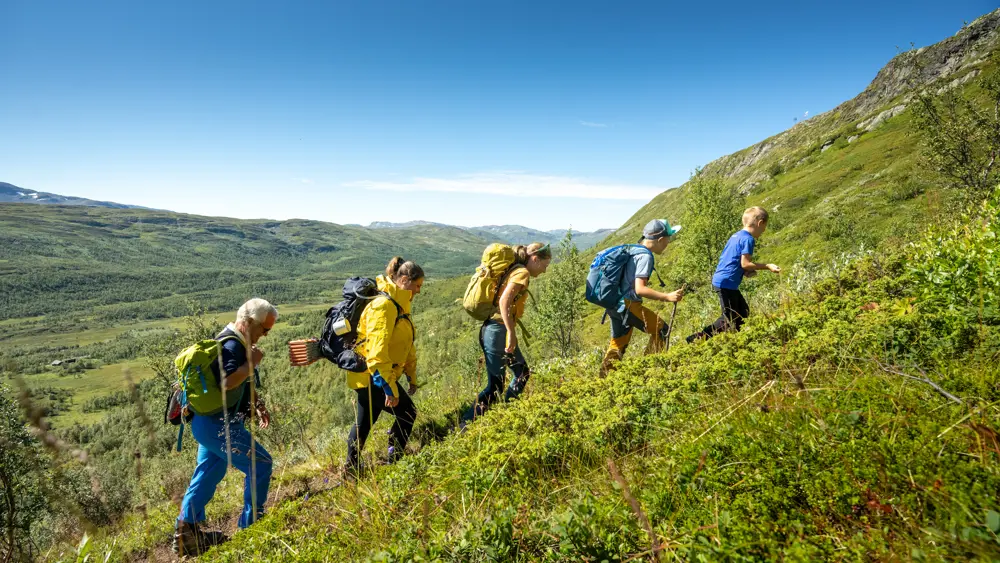 Familietur på Filefjellseggen mellom Skørsnøse og Støgonøse