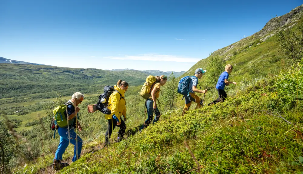 Familietur på Filefjellseggen mellem kl Skørsnøse og Stygonous