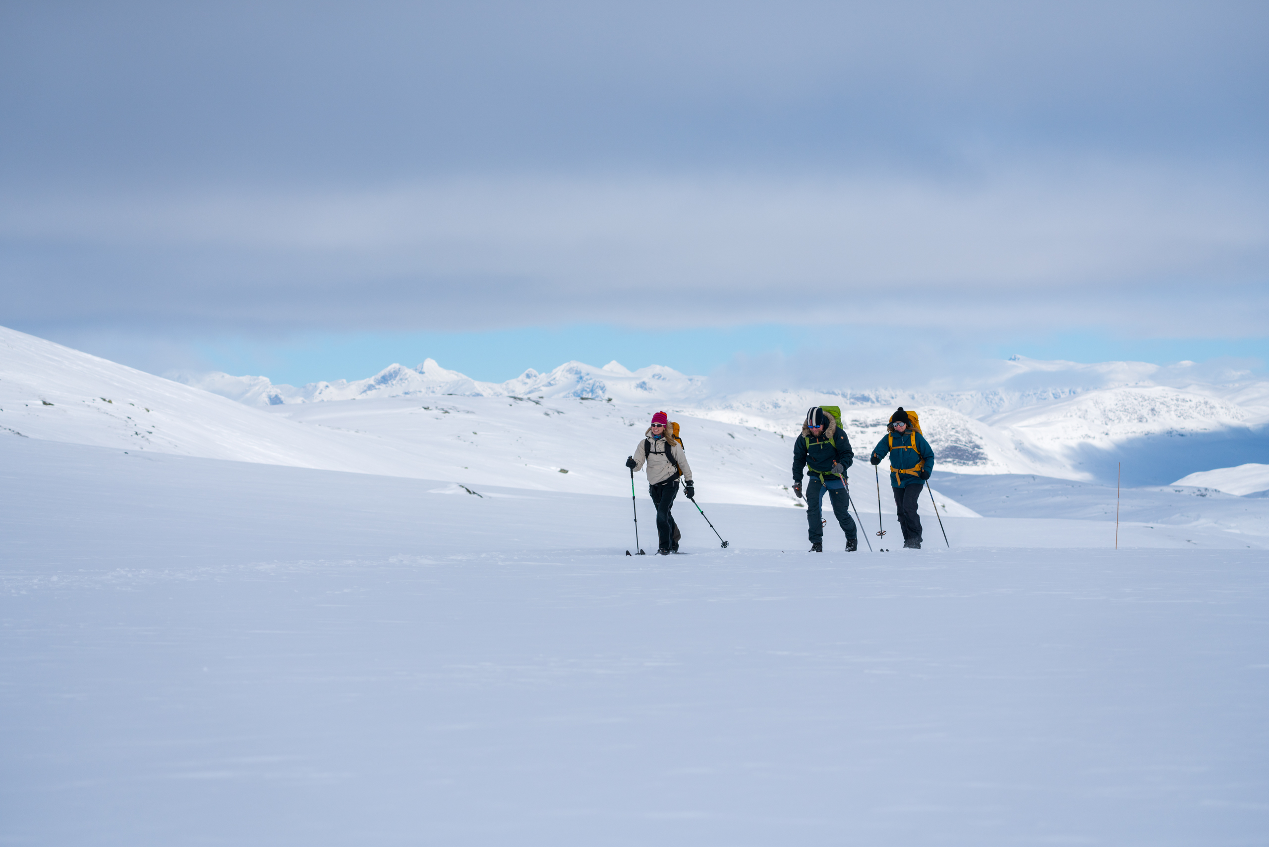 Skigåere på fjellski på Tyin Filefjell