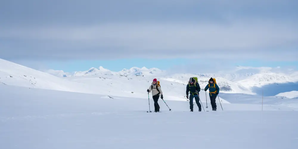 Skigåere på fjellski på Tyin Filefjell