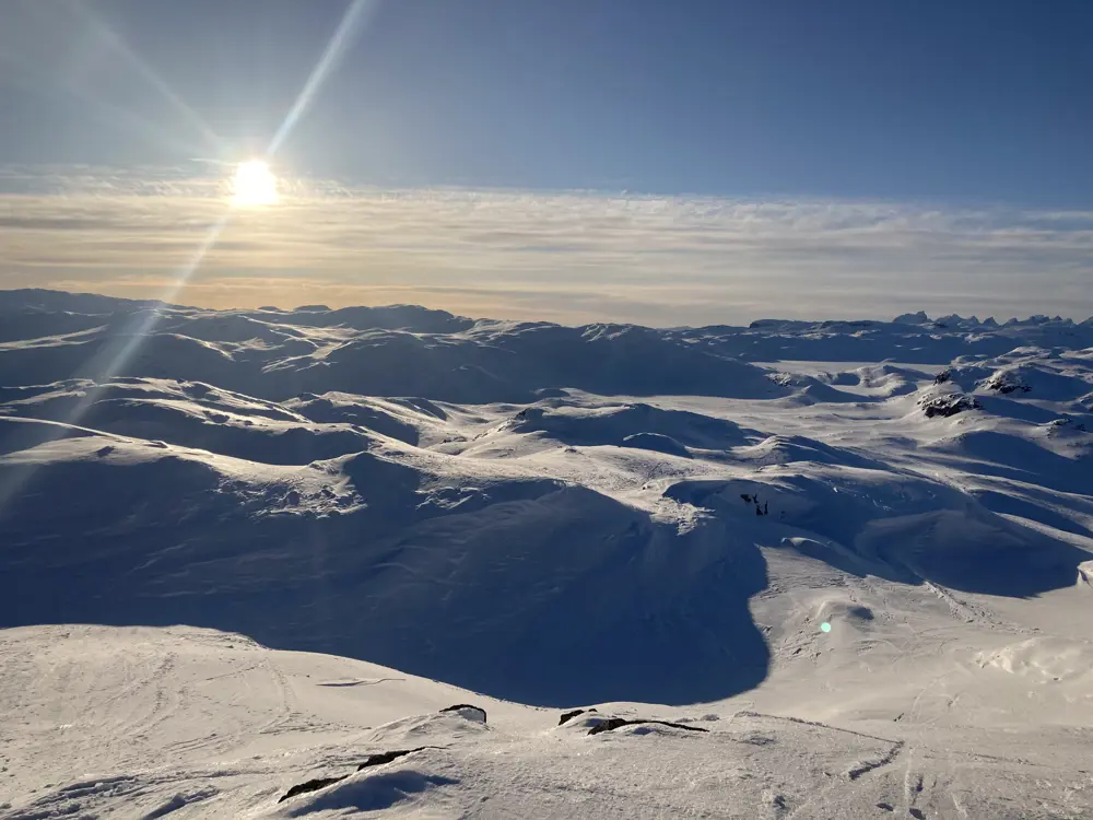 IMG 3391 Stølsnøse