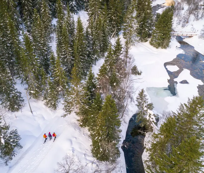 Tre personer på sneskovandring på Kongevegen