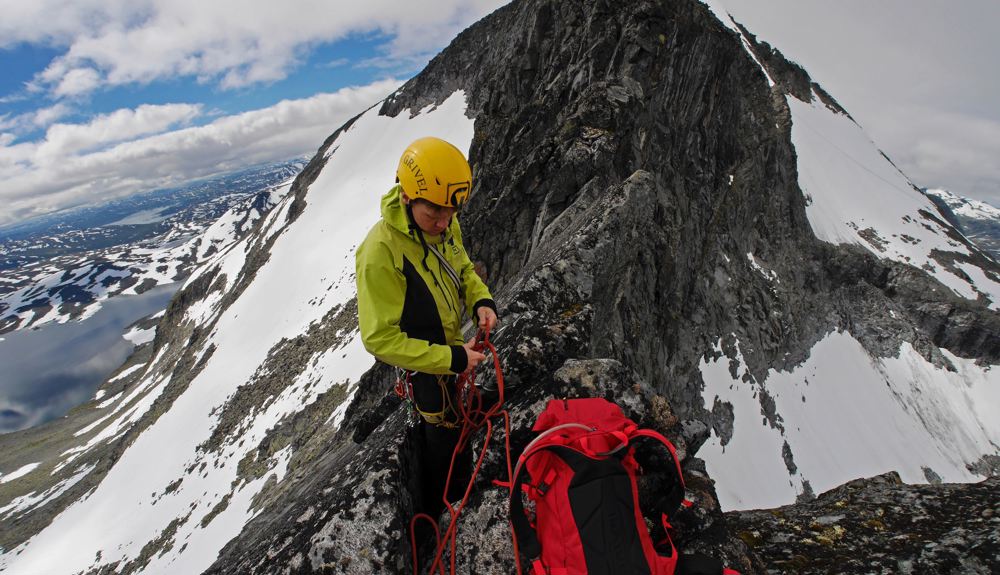 Fjellfoerern