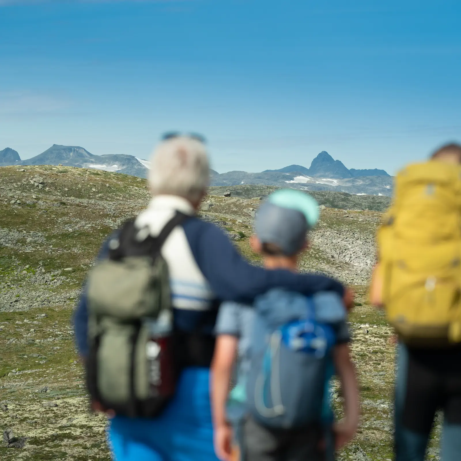 Family hike on Filefjellseggen between Skørsnøse and Støgonøse, with views of Jotunheimen's peaks