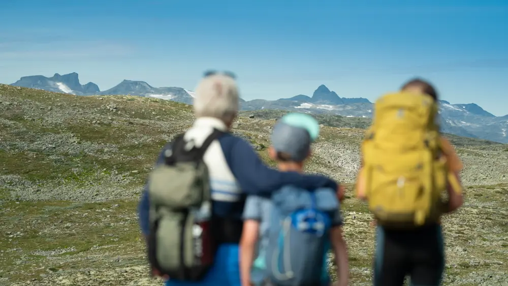Family hike on Filefjellseggen between Skørsnøse and Støgonøse, with views of Jotunheimen's peaks